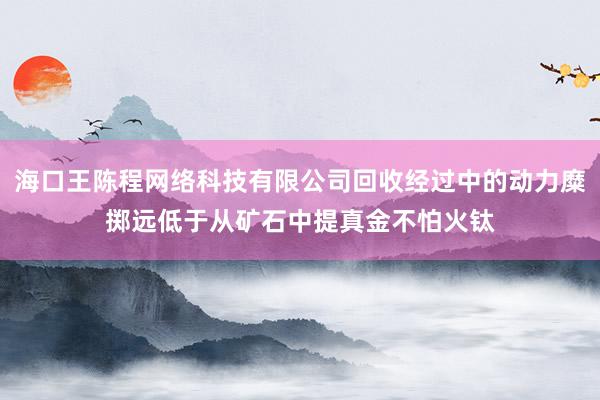 海口王陈程网络科技有限公司回收经过中的动力糜掷远低于从矿石中提真金不怕火钛