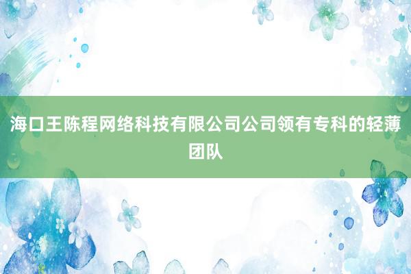 海口王陈程网络科技有限公司公司领有专科的轻薄团队