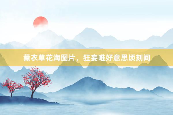 薰衣草花海图片，狂妄唯好意思顷刻间