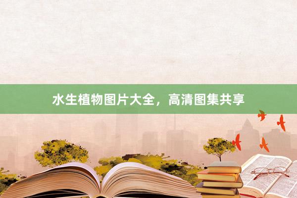 水生植物图片大全，高清图集共享