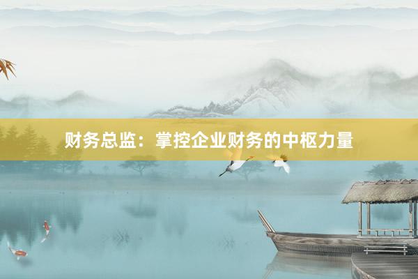 财务总监：掌控企业财务的中枢力量